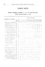 7983_OBJ-Thumbnail Image.jpg