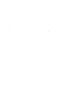 7994_OBJ-Thumbnail Image.jpg