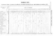 8071_OBJ-Thumbnail Image.jpg
