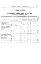 8185_OBJ-Thumbnail Image.jpg