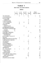 8590_OBJ-Thumbnail Image.jpg
