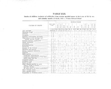 8857_OBJ-Thumbnail Image.jpg