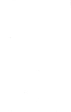 9004_OBJ-Thumbnail Image.jpg
