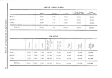 9072_OBJ-Thumbnail Image.jpg
