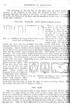 9074_OBJ-Thumbnail Image.jpg
