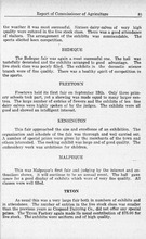 9113_OBJ-Thumbnail Image.jpg