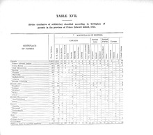 9317_OBJ-Thumbnail Image.jpg