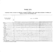 9333_OBJ-Thumbnail Image.jpg