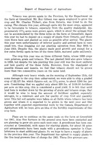 9337_OBJ-Thumbnail Image.jpg