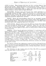 9531_OBJ-Thumbnail Image.jpg