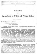 9534_OBJ-Thumbnail Image.jpg