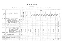 9537_OBJ-Thumbnail Image.jpg