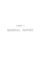 9816_OBJ-Thumbnail Image.jpg