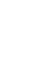 981_OBJ-Thumbnail Image.jpg