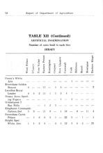 9866_OBJ-Thumbnail Image.jpg